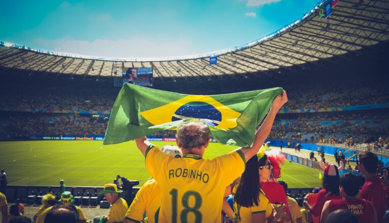 Soccer fan holding flag with a Robinho #18 jersey on